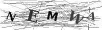 Please refresh your browser to see this image.