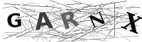 Please refresh your browser to see this image.