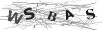 Please refresh your browser to see this image.